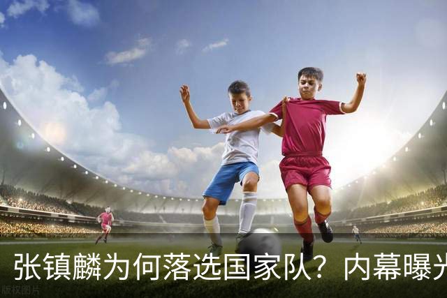 张镇麟为何落选国家队？内幕曝光，叫人心疼，郭士强并没放弃他